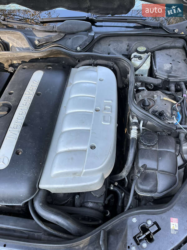 Седан Mercedes-Benz E-Class 2003 в Черновцах фото 50 Седан Mercedes-Benz E-Class 2003 в Черновцах