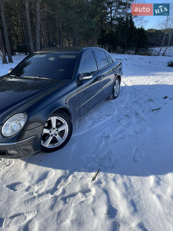 Седан Mercedes-Benz E-Class 2004 в Любомле фото 17 Седан Mercedes-Benz E-Class 2004 в Любомле