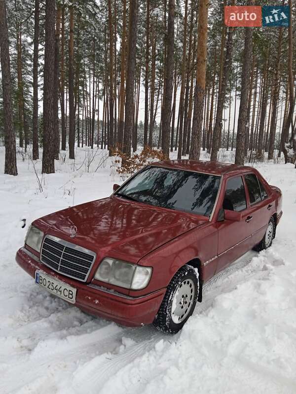 Mercedes-Benz E-Class 1995 Mercedes-Benz E-Class 1995