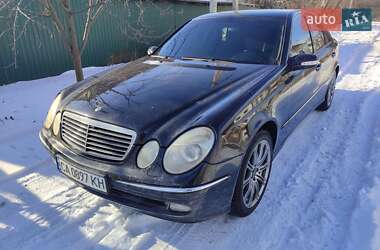 Седан Mercedes-Benz E-Class 2004 в Гайвороне
