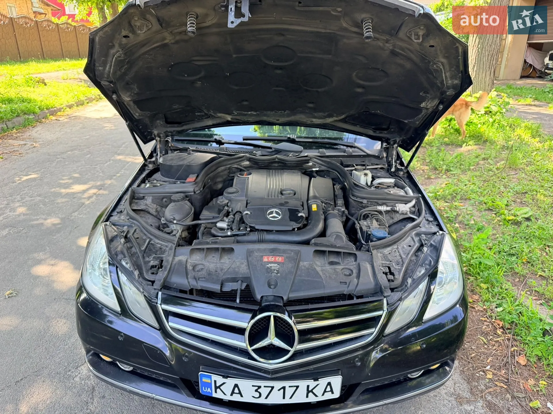 2011 Mercedes-Benz E-klasse - мініатюра 46