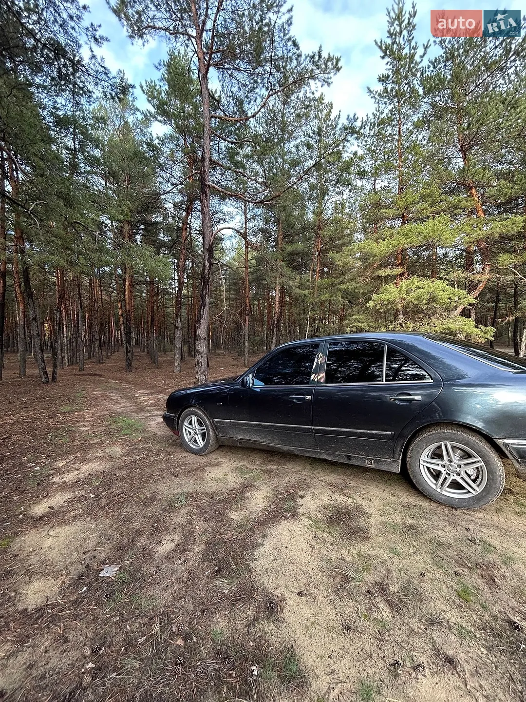 Mercedes-Benz E-Class 1996 VIN WDB2100551A330728 фото оголошення 6 з 11