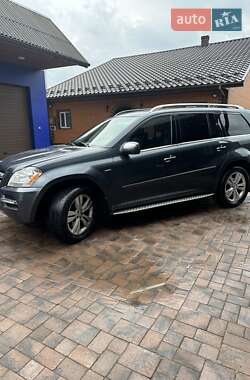 Внедорожник / Кроссовер Mercedes-Benz GL-Class 2009 в 