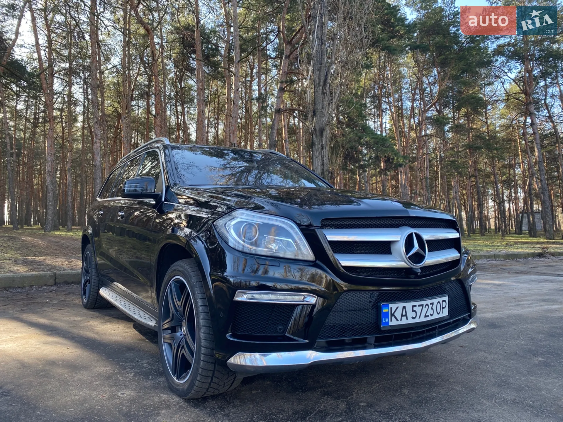 2013 Mercedes-Benz GL-klasse - фото 1