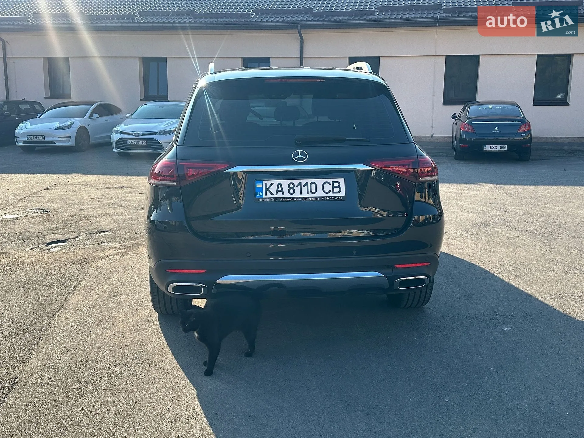 2021 Mercedes-Benz GLE - мініатюра 6
