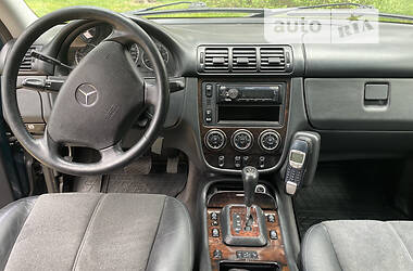 Внедорожник / Кроссовер Mercedes-Benz M-Class 2004 в Житомире