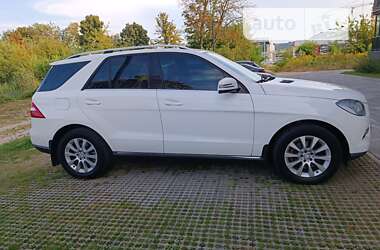Внедорожник / Кроссовер Mercedes-Benz M-Class 2013 в 