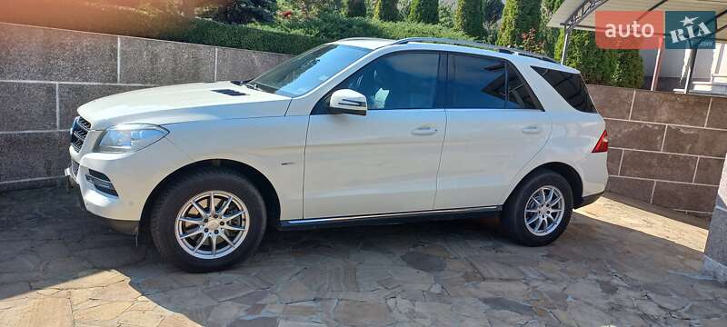 Внедорожник / Кроссовер Mercedes-Benz M-Class 2012 в Южном