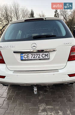 Внедорожник / Кроссовер Mercedes-Benz M-Class 2010 в Хотине