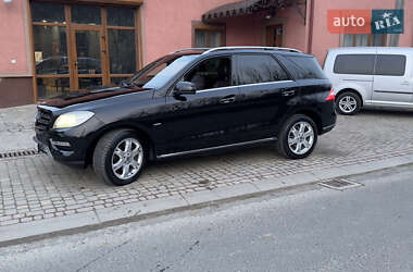 Позашляховик / Кросовер Mercedes-Benz M-Class 2011 в 
