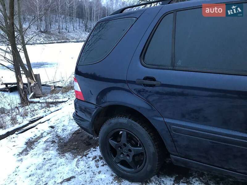 Внедорожник / Кроссовер Mercedes-Benz M-Class 2002 в Краматорске фото 9 Внедорожник / Кроссовер Mercedes-Benz M-Class 2002 в Краматорске