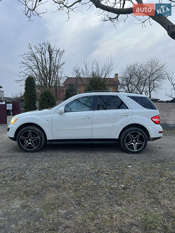 Внедорожник / Кроссовер Mercedes-Benz M-Class 2010 в Ровно