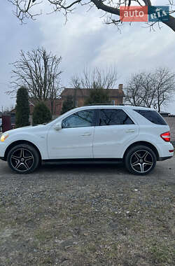 Внедорожник / Кроссовер Mercedes-Benz M-Class 2010 в 