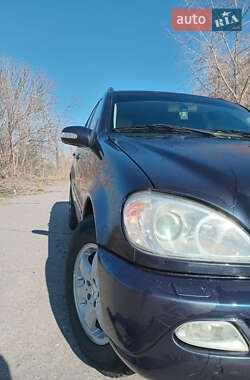 Внедорожник / Кроссовер Mercedes-Benz M-Class 2002 в 