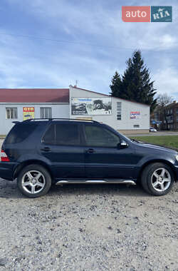 Внедорожник / Кроссовер Mercedes-Benz M-Class 2001 в 