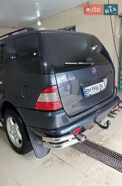 Внедорожник / Кроссовер Mercedes-Benz M-Class 1999 в 