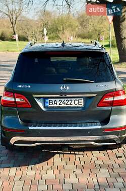 Внедорожник / Кроссовер Mercedes-Benz M-Class 2015 в 