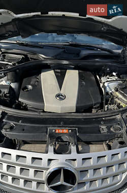 Внедорожник / Кроссовер Mercedes-Benz M-Class 2010 в 