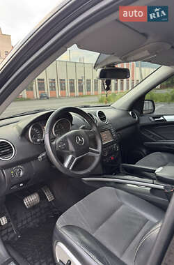 Позашляховик / Кросовер Mercedes-Benz M-Class 2010 в 