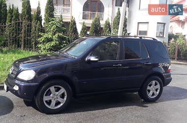 Внедорожник / Кроссовер Mercedes-Benz M-Class 2003 в 