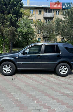 Внедорожник / Кроссовер Mercedes-Benz M-Class 2001 в 