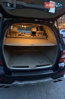 Внедорожник / Кроссовер Mercedes-Benz M-Class 2008 в 