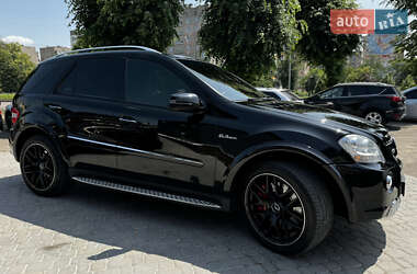 Внедорожник / Кроссовер Mercedes-Benz M-Class 2008 в 