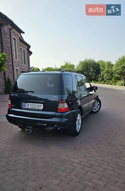 Внедорожник / Кроссовер Mercedes-Benz M-Class 2002 в 