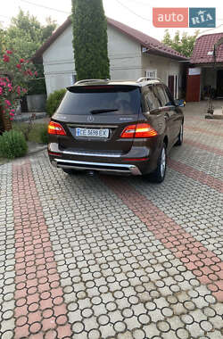 Внедорожник / Кроссовер Mercedes-Benz M-Class 2014 в 