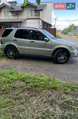 Внедорожник / Кроссовер Mercedes-Benz M-Class 2002 в 