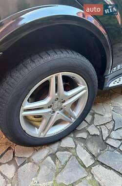 Внедорожник / Кроссовер Mercedes-Benz M-Class 2007 в 