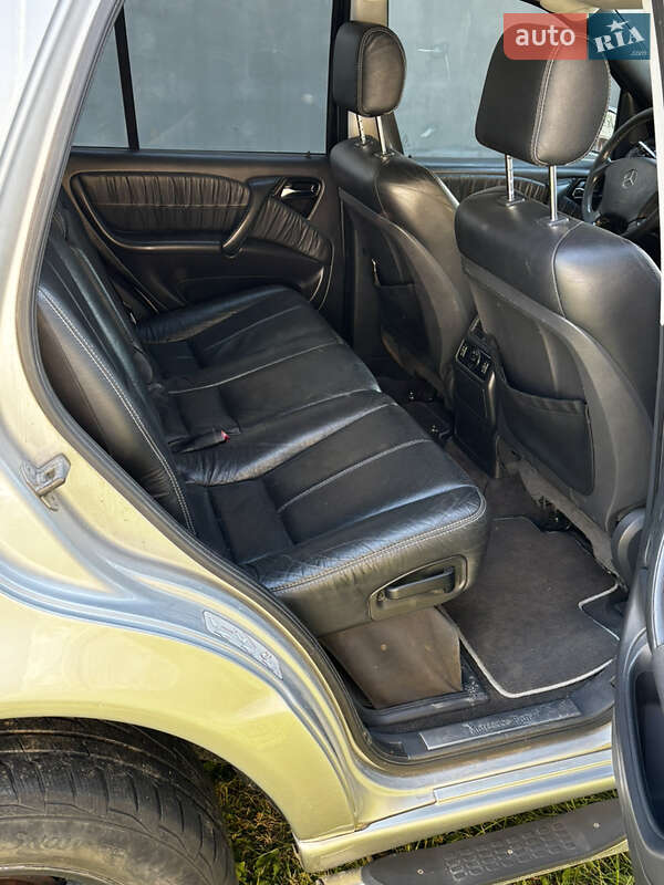 Позашляховик / Кросовер Mercedes-Benz M-Class 2003 в Снятині