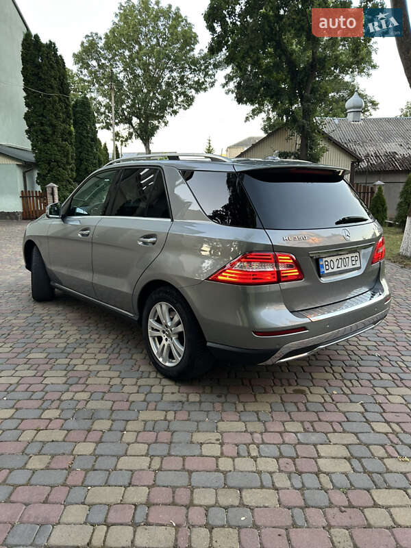 Внедорожник / Кроссовер Mercedes-Benz M-Class 2013 в Залещиках