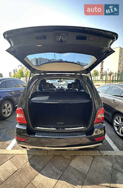 Внедорожник / Кроссовер Mercedes-Benz M-Class 2009 в 
