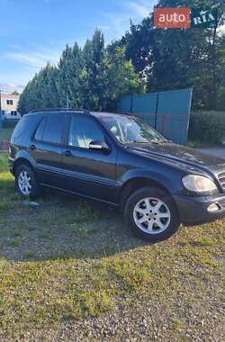 Позашляховик / Кросовер Mercedes-Benz M-Class 2001 в 
