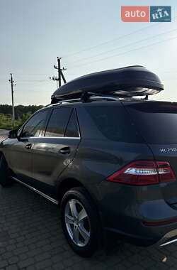 Позашляховик / Кросовер Mercedes-Benz M-Class 2013 в 