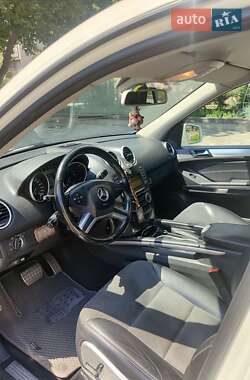 Внедорожник / Кроссовер Mercedes-Benz M-Class 2010 в 