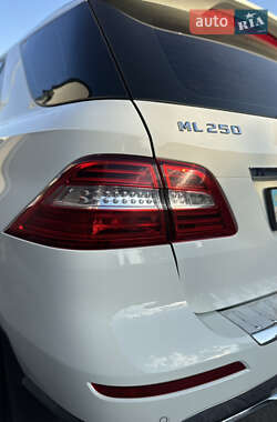Позашляховик / Кросовер Mercedes-Benz M-Class 2013 в 