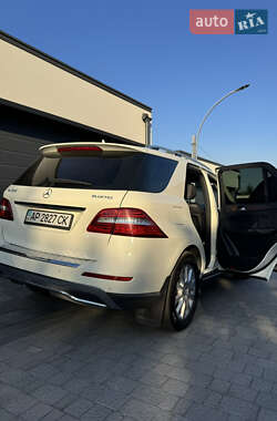 Позашляховик / Кросовер Mercedes-Benz M-Class 2013 в 