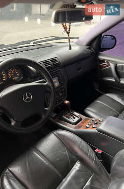 Внедорожник / Кроссовер Mercedes-Benz M-Class 2001 в 