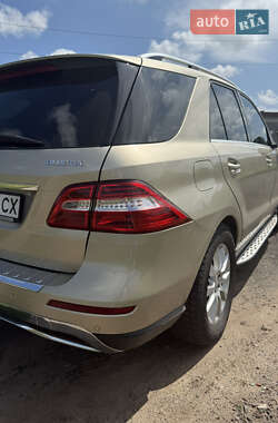 Внедорожник / Кроссовер Mercedes-Benz M-Class 2011 в 