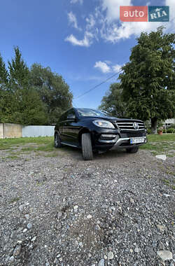 Внедорожник / Кроссовер Mercedes-Benz M-Class 2015 в 
