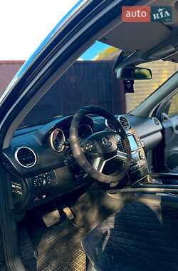 Внедорожник / Кроссовер Mercedes-Benz M-Class 2009 в 
