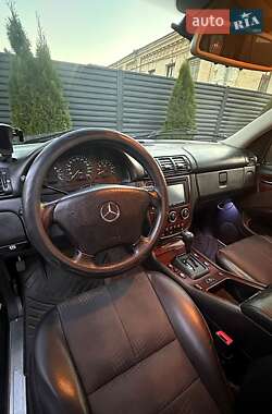 Внедорожник / Кроссовер Mercedes-Benz M-Class 2004 в 