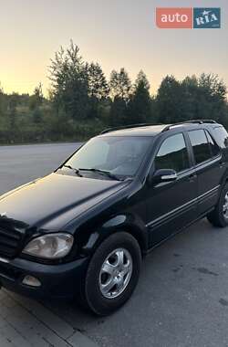 Внедорожник / Кроссовер Mercedes-Benz M-Class 2001 в 