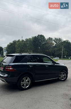 Внедорожник / Кроссовер Mercedes-Benz M-Class 2014 в 