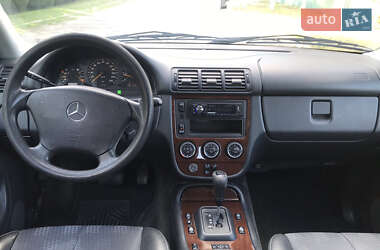 Внедорожник / Кроссовер Mercedes-Benz M-Class 2002 в 