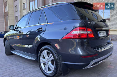 Внедорожник / Кроссовер Mercedes-Benz M-Class 2013 в 