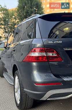 Внедорожник / Кроссовер Mercedes-Benz M-Class 2014 в 