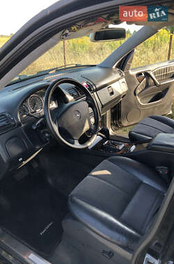 Внедорожник / Кроссовер Mercedes-Benz M-Class 2004 в 